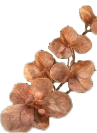 Декоративный цветок - украшение сайта